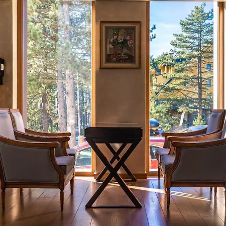 Palisad ズラティボール