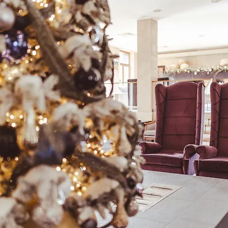 Hotel Palisad Zlatibor