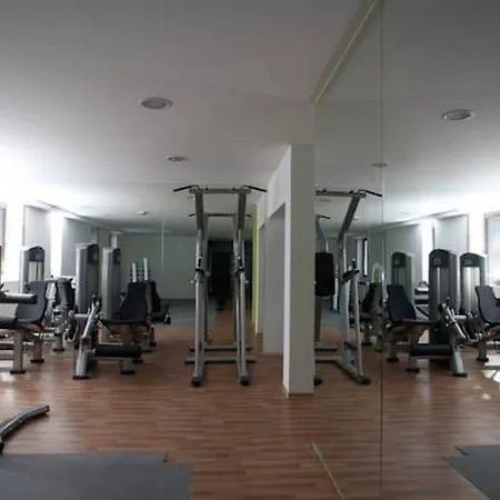 Palisad ズラティボール