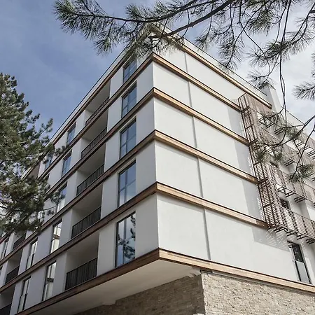 ホテル Palisad 4*