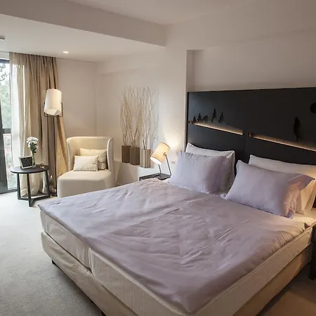 Hotel Palisad 4*
