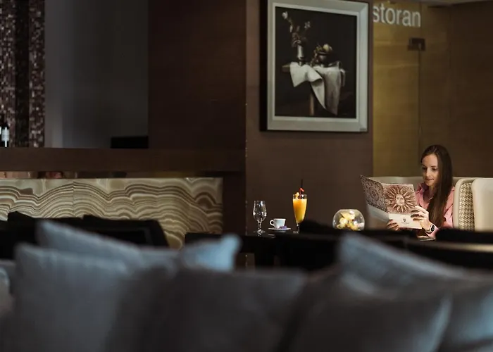 Hotel Palisad Zlatibor