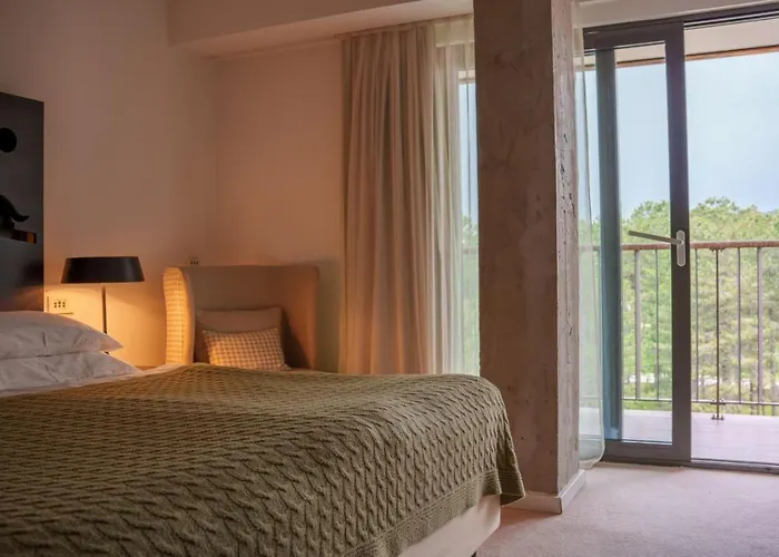 Hotel Palisad Zlatibor