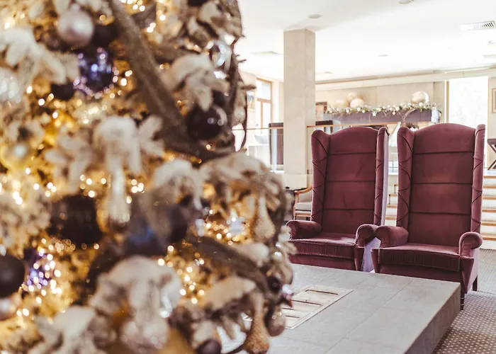 Hotel Palisad Zlatibor