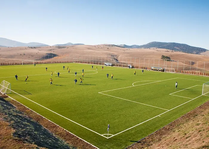 Hotel Palisad Zlatibor